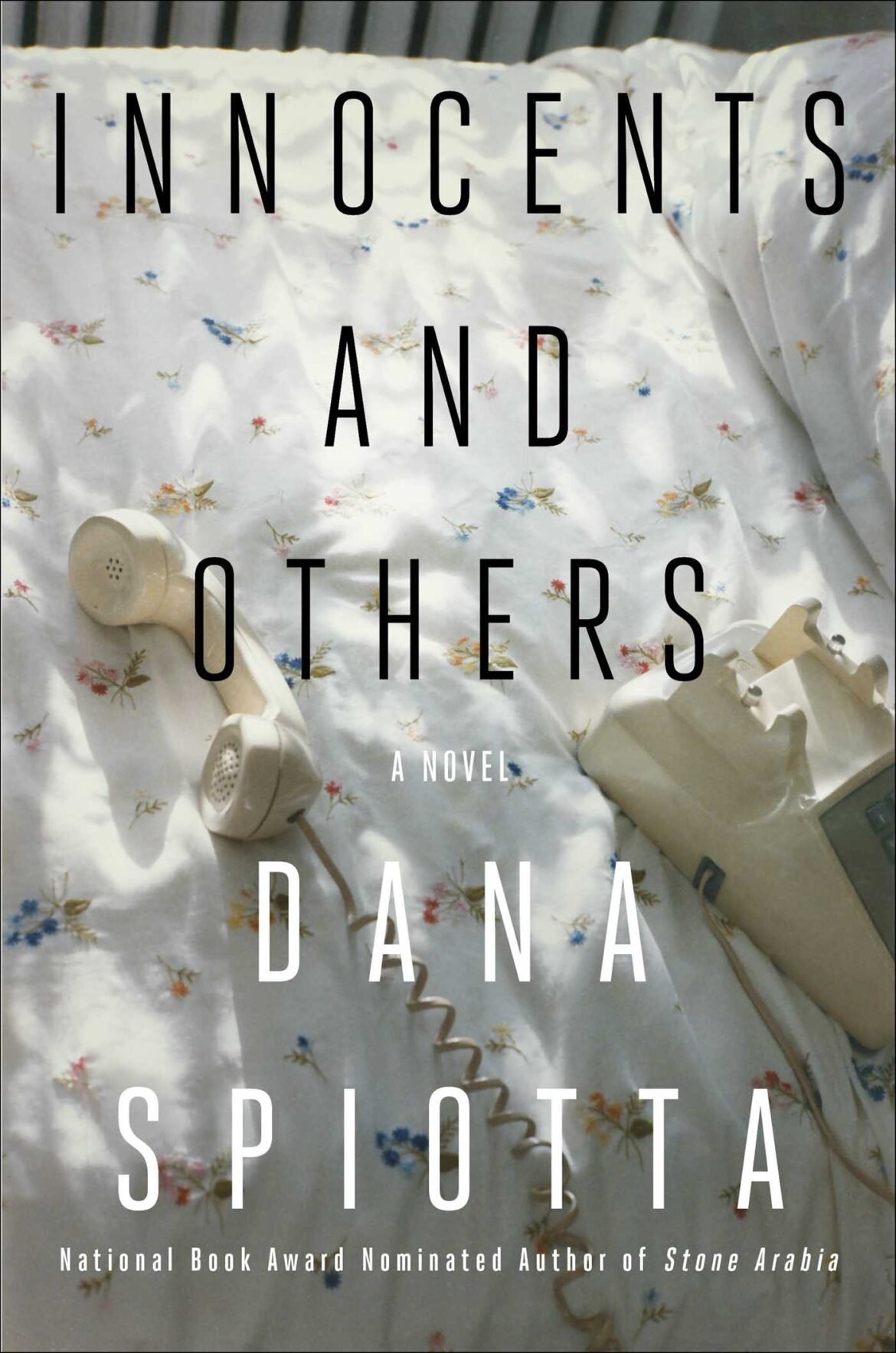 dana_spiotta_innocents_and_others.jpg