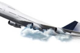 Interview Confidential – Distinguished amazon and the flying Molue