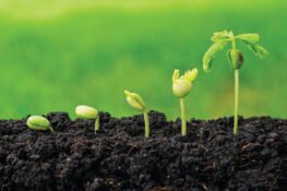 NIGERIA-CHINA DEAL COULD LEAD TO YOUTH AGRICULTURAL REVOLUTION
