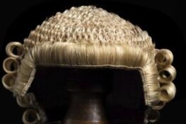 How Not to Rent Lawyers By Abimbola Adelakun