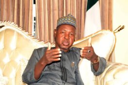 Police Arrest Notorious Kidnapper In Katsina, Rescue 3 Victims