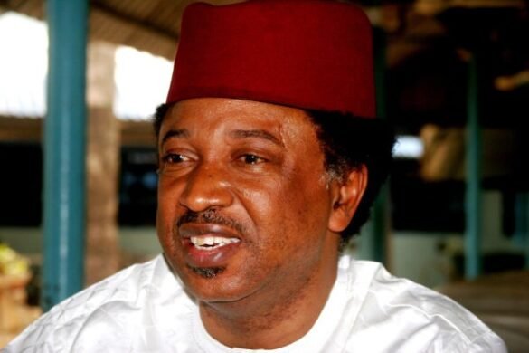 Shehu Sani Wins Kaduna Central APC Senatorial Ticket