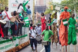 The New Soft Power: Irish Diapora