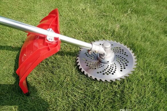 Grass-cutter and the oily pie