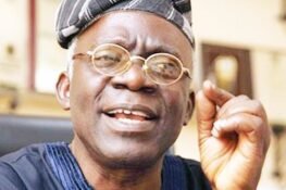 Falana, The Baby And The Bathwater