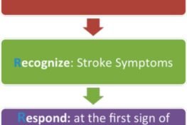 Strokes – Preventable, Treatable And Survivable