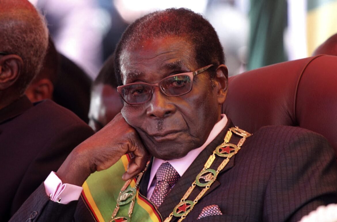 Beyond Mugabe: The Other Vultures In Harare