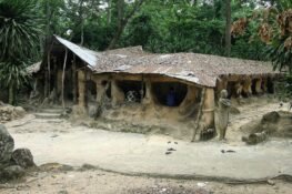 …At The Osun Sacred Grove