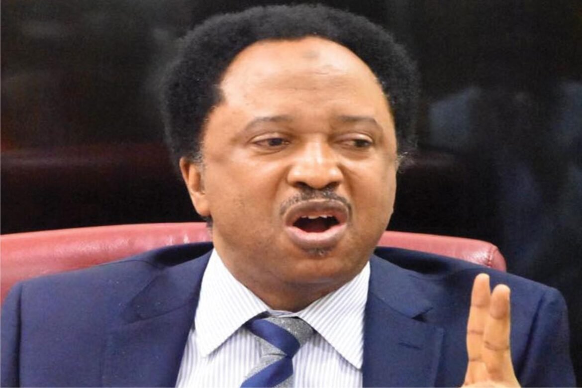 Kaduna Governorship Race: Senator Shehu Sani Lists Security As Priority