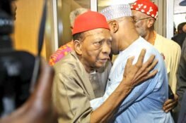 Ndigbo And The Search For A Surrogate Mother