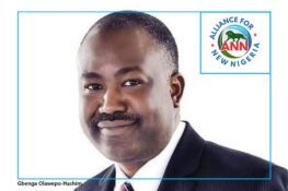 Know Your Candidate: Gbenga Olawepo-Hashim – PT