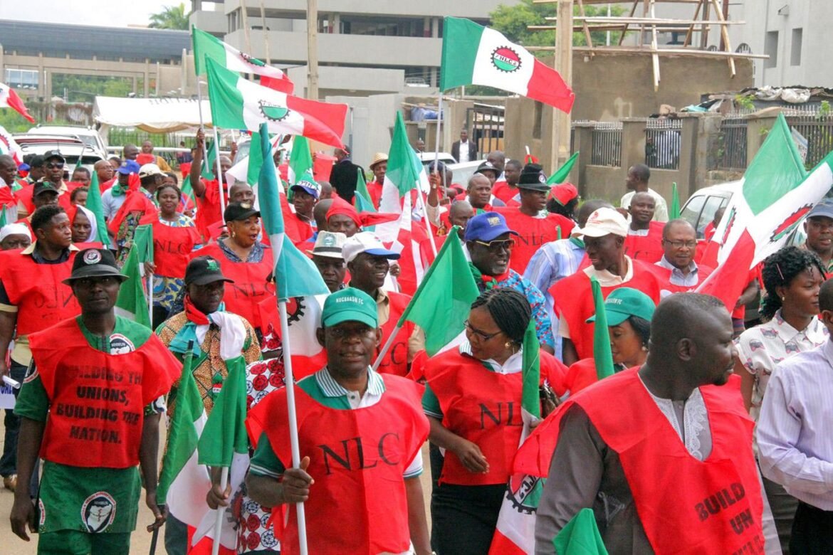 Minimum Wage: Strike Paralyses Activities In Bauchi, Borno, Yobe
