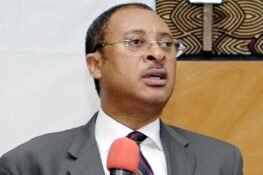 Democracy: Nigeria Needs Total Restructuring – Pat Utomi