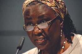 I Can’t Assess Ezekwesili’s Chances Until After Elections – Remi Sonaiya