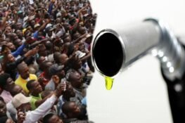Petrol And Population As Nigeria’s Greatest Worries