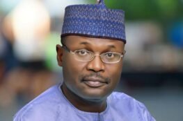 INEC’s Bloody Axe And The Political Remnants