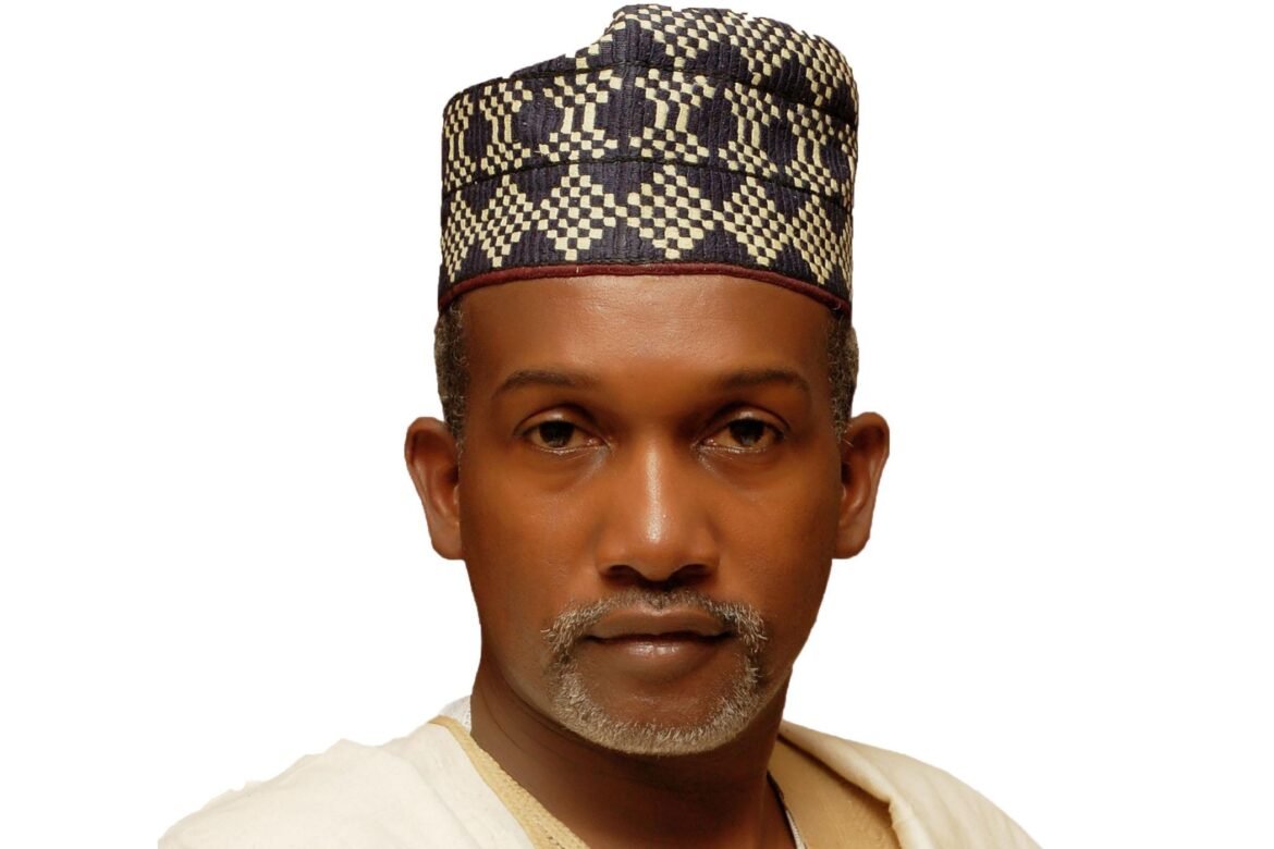 Nigeria's ambassador to Germany, Yusuf Tuggar / Photo credit nigeriaembassygermany.org