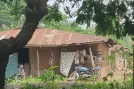 The Forgotten Nigerians