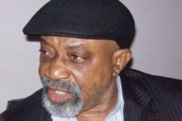 Without Buhari, Nigeria Would Not Have Been In Peace – Ngige