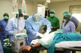 Ngige, Nigerian Doctors Must Stay