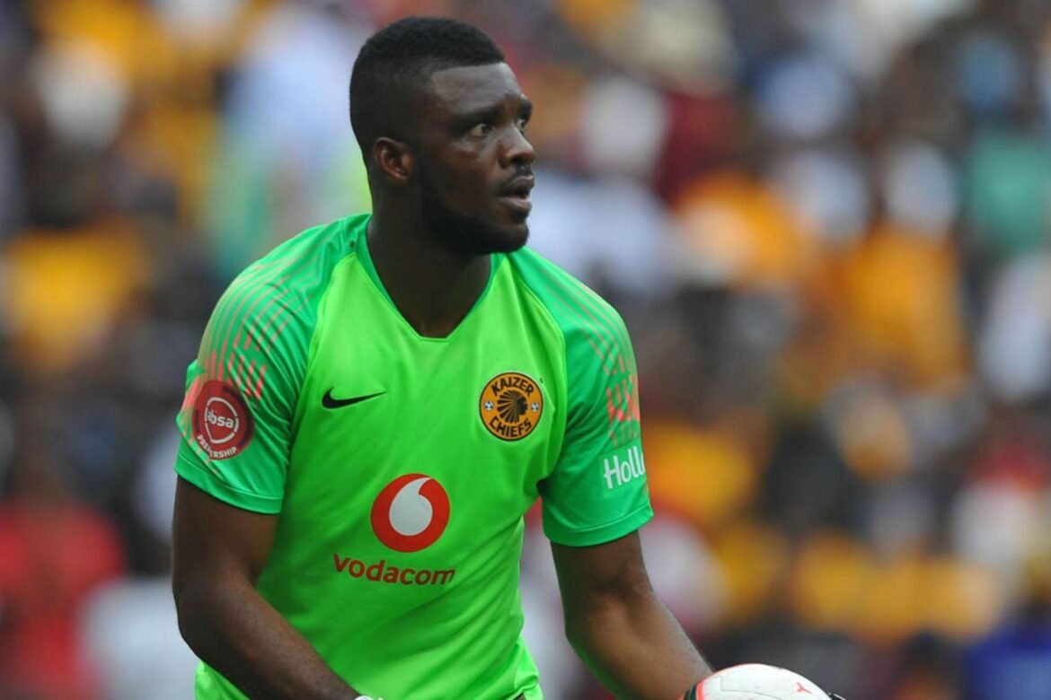 AFCON 2019: I Wasn’t Given A Chance But I Survived – Akpeyi