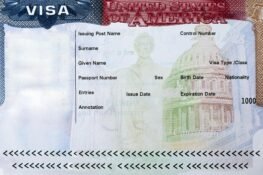Visa: Time To Go Shame Shopping