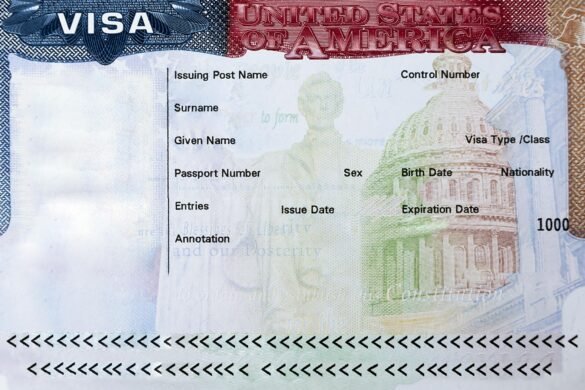 Visa: Time To Go Shame Shopping