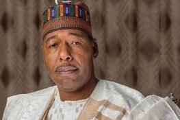 What Is Zulum’s Plan For IDP Camps?