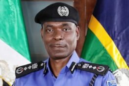 My Son Was Killed In My Presence – Woman Tells Investigative Panel