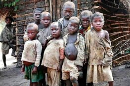 Missing Link: Rejoinder To Niran Adedokun
