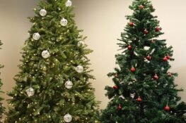 When We Spread Christmas Cheer