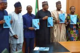 Pantami Receives NBP 2020-2025 Committee Report