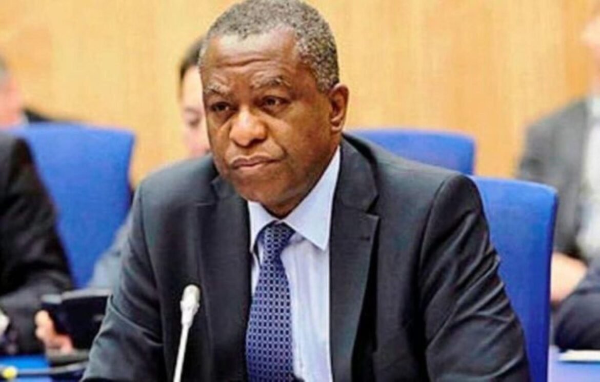 Nigerian minister of foreign affairs, Geoffrey Onyema / Photo credit: vanguardngr.com