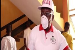 NDLEA Arrests 166 Suspects, Seizes 619kg of Illicit Drugs in Adamawa