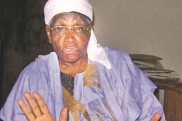 ‘You’re Mere Irritant’, Presidency Replies Ango Abdullahi