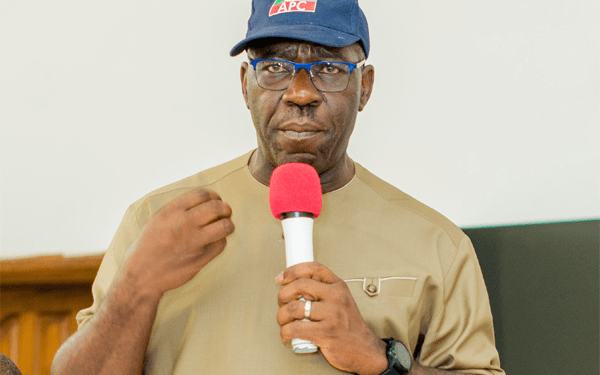 Governor Godwin Obaseki of Edo State / Photo credit: thenationonlineng.net