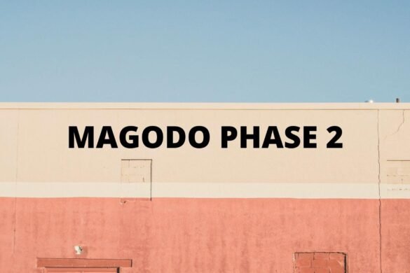 Magodo Residents Oppose Constitution Review