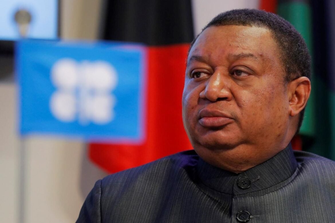Oil Sector Needs $11.8trn Investments 2021-2045 – OPEC