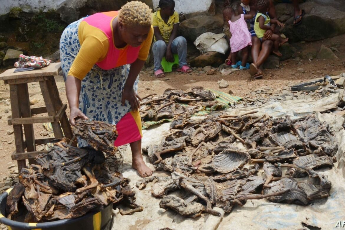 Eating Bush Meat Increases Zoonotic Diseases Risk – UN