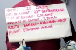 I Was Promised N500k To Carry N2.3bn Cocaine – Arrested Trafficker