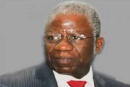 Oronsanye Report: FEC Approves Merging, Scrapping Of MDAs