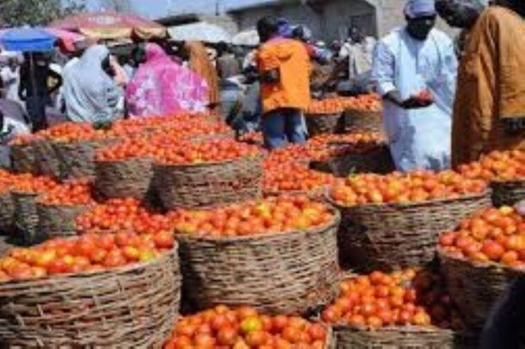 Baskets of fresh tomatoes in a Nigerian Market.