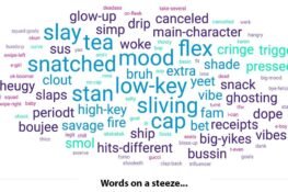 Word Of The Year 2024