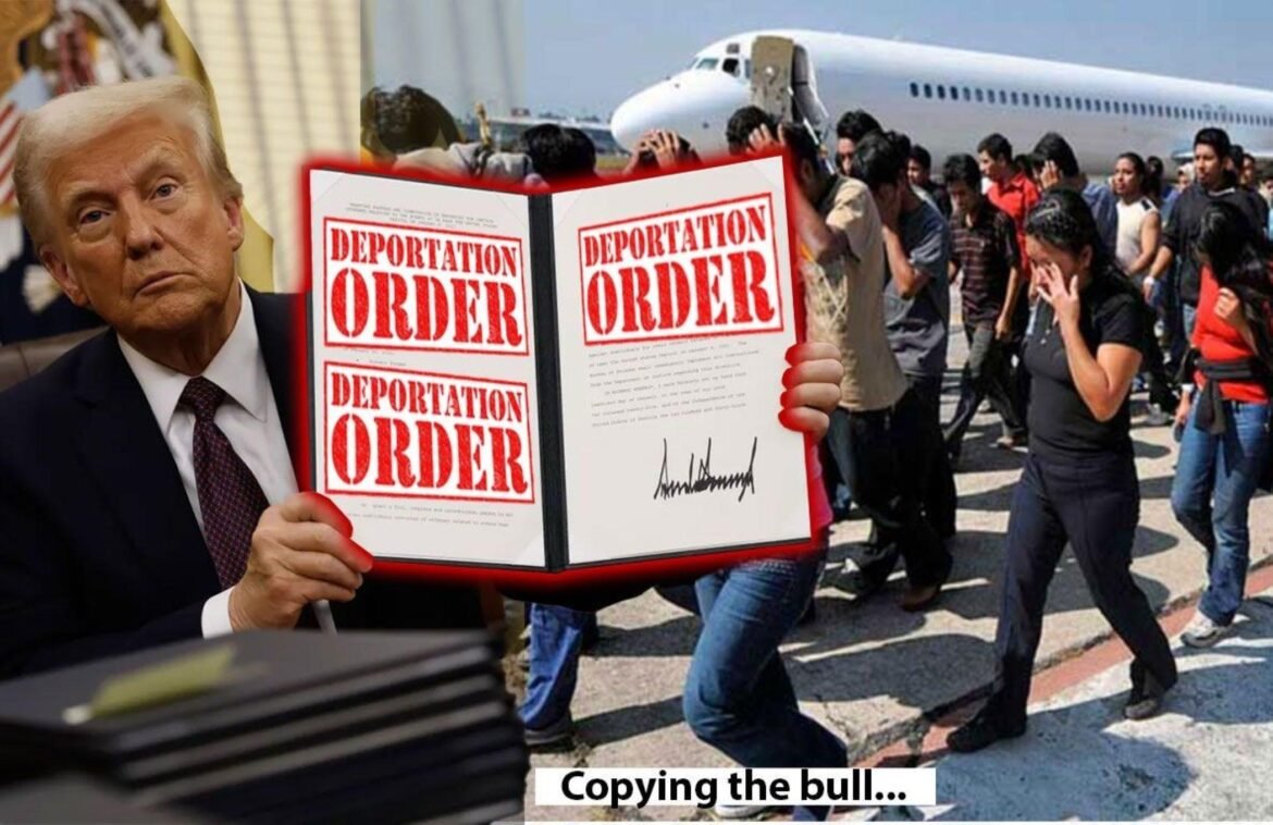 Preparing For Trump Deportation Copycats In Europe