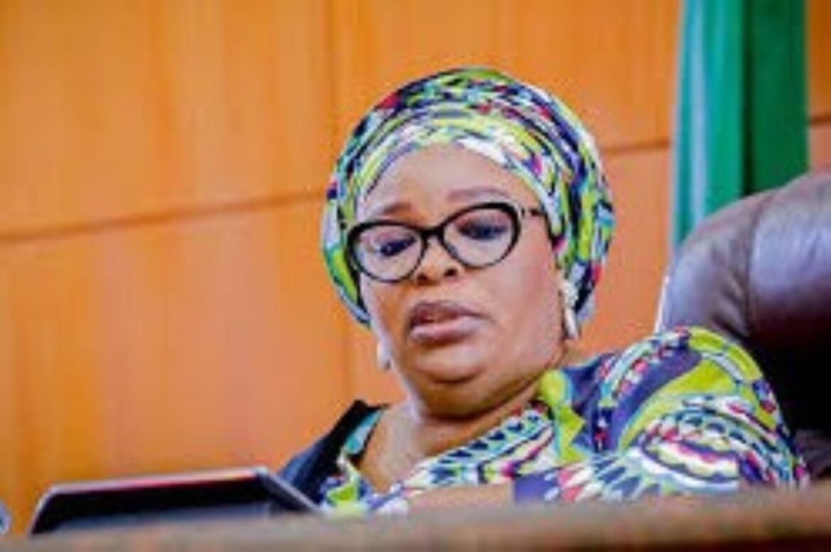 Lagos Assembly Crisis: Why I Resigned – Meranda