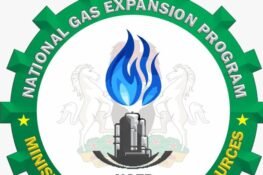 NGEP Urges Gas Reticulation In Buildings