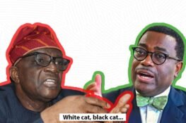 Adesina, Onanuga And The Matter Of Being Better Off