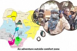 Danger Of The Single Story (DSS)